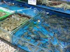 -渔人码头(洛溪店)