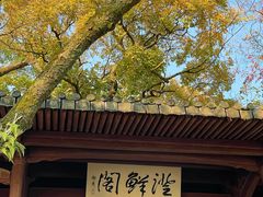 -江心屿景区
