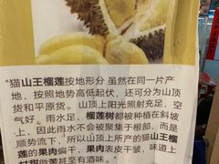 -都念榴莲·城市榴莲