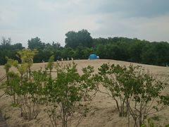 -东郊湿地公园
