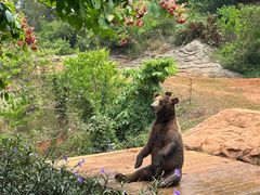 -海南热带野生动植物园
