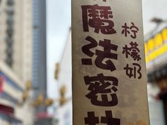 -猫的魔法密林(衣裳街店)