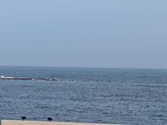 -青岛第二海水浴场