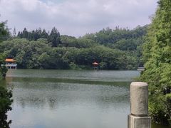-深圳仙湖植物园