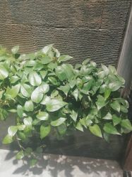 点击看大图 -T.1 hair salon烫染接发