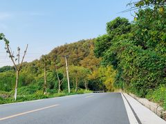 -铁山坪森林公园