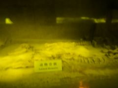-汉景帝阳陵博物院