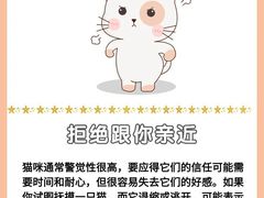 -爱侣宠医·鹦鹉专科·小型哺乳类·异宠专科(灵石路店)