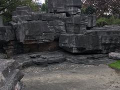 -宁波儿童公园(鄞州区)