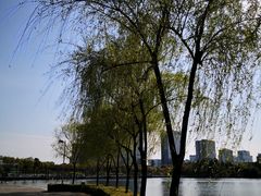 -白塘生态植物园