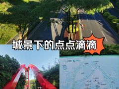 -玉树公园