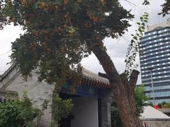 -内蒙古将军衙署博物院