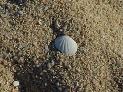 -查汶海滩