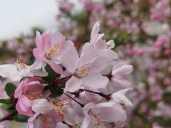 -上海吴淞炮台湾国家湿地公园
