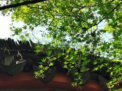 -清凉寺
