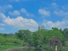 -黄陂区野村谷景区