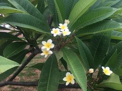 -五里桥文化公园-西侧停车场