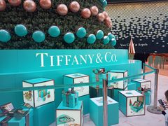 -Tiffany & Co.蒂芙尼
(南京德基广场店)