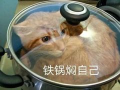 -江湖情酸菜鱼(万菱汇店)