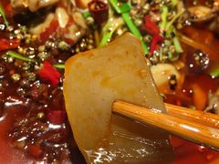 魔芋-宽口美蛙鱼头(大唐西市店)