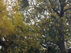 -VOYAGE COFFEE(北锣鼓巷店)