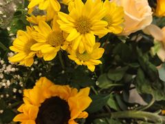 -小白鲨工夫潮膳(曲江店)