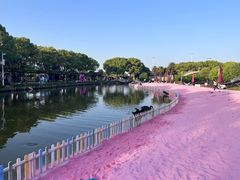 -苏州太湖西山岛开心农场