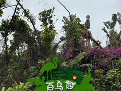 -海南热带野生动植物园