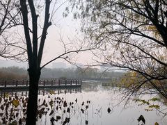 -长兴太湖图影湿地文化园