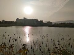 -江南大学(蠡湖校区)