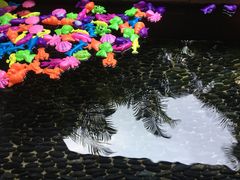 -汇雅温泉