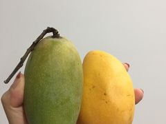 -三亚新鸿港水果一级批发市场