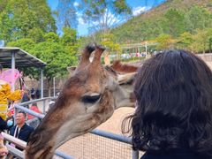 -泉州海丝野生动物世界