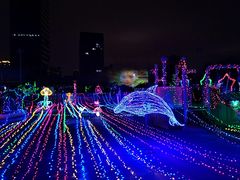 -巨鹏飞梦幻海岸