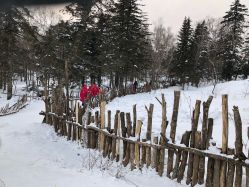 -大秃顶子山