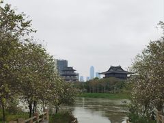 -海珠湖公园