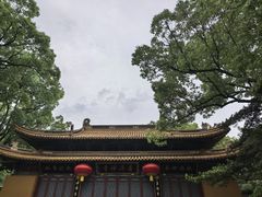 -普陀山风景名胜区-法雨禅寺