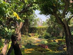 -Chom Cafe and Restaurant