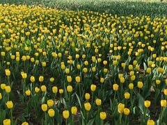 -长春公园(普阳街道)