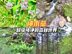 -硗碛藏寨·神木垒景区