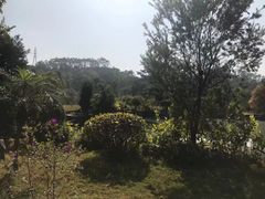 -谷丰健康凤贤居酒家
