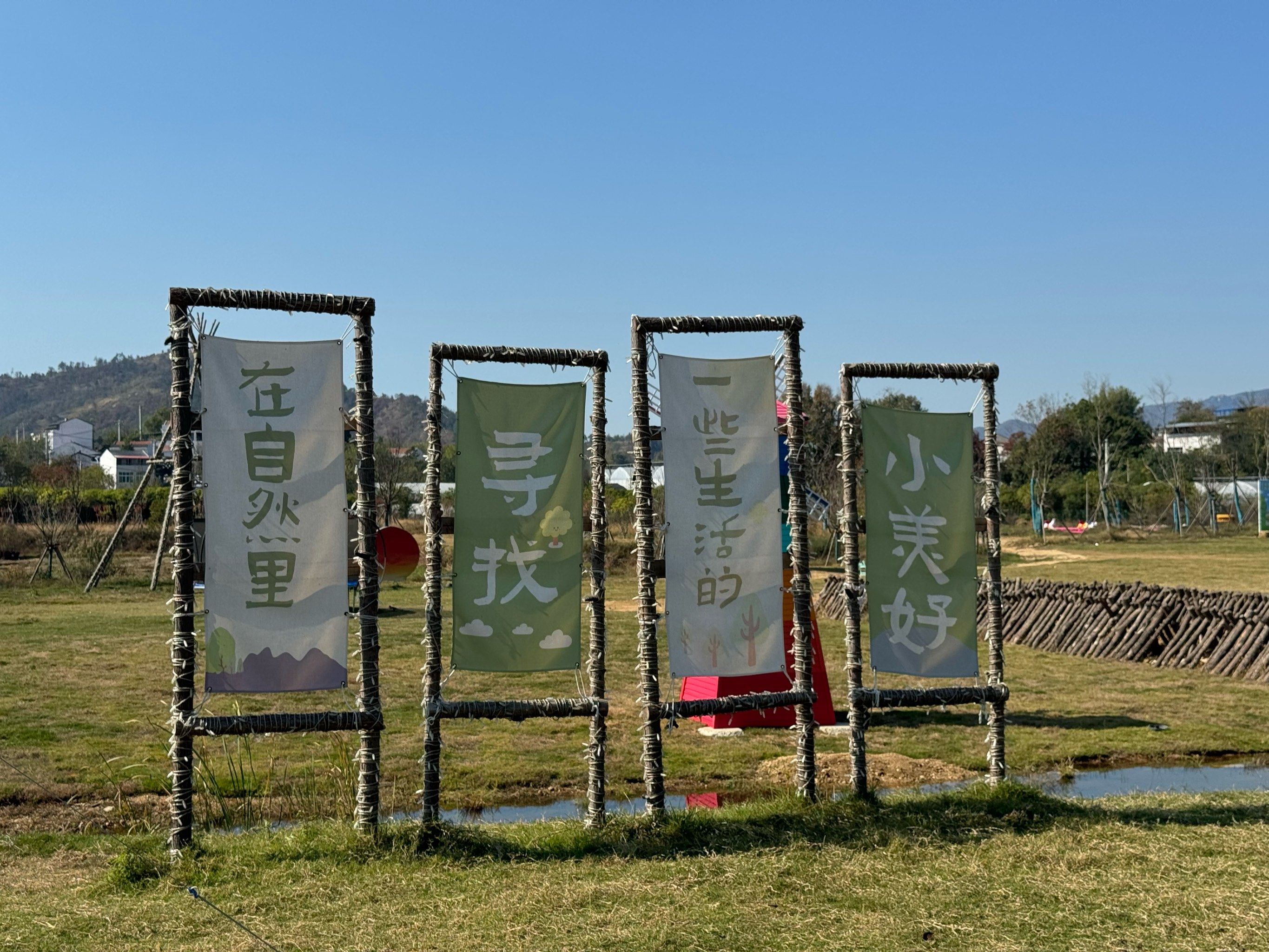 采蘑菇🍄‍🟫的一天