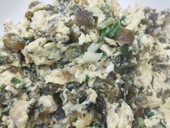 -全乐鱼馆·淳牌有机鱼直营店