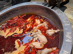 -销魂美蛙鱼头火锅(上海首店)