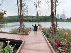 -昆山城市生态森林公园