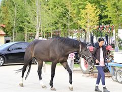 -意大利农场度假村