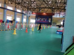 -长春乐奇平衡车儿童体能运动中心