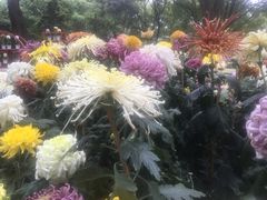 -上海市龙华烈士陵园