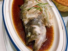 -宏宴·新京菜(望京店)