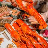 成都海鲜天花板🦐怎么会拒绝一整只麻辣大波龙呢